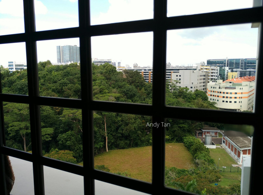 Blk 290G Bukit Batok Street 24 (Bukit Batok), HDB 4 Rooms #127726512